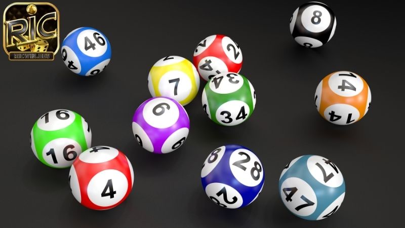 Bóng lô đề âm dương