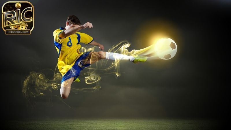 Kỹ năng chơi cá độ - 5 bí quyết đầu tư hiệu quả Kỹ năng chơi cá độ