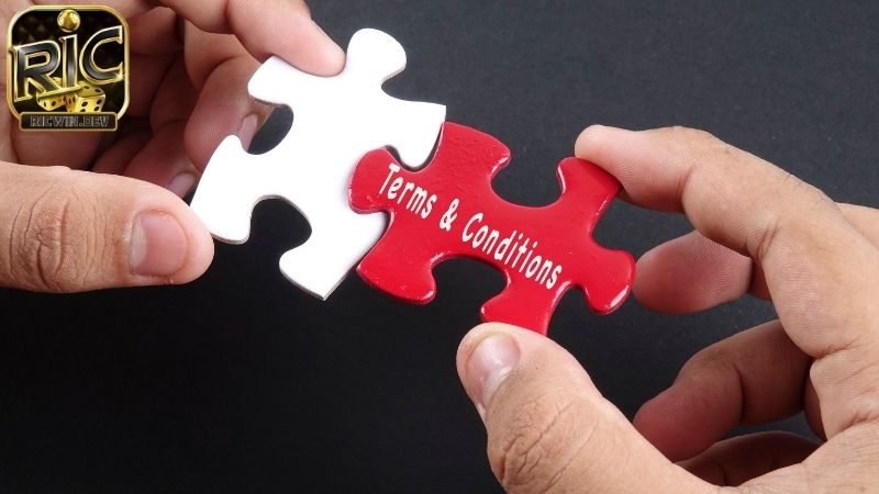 điều khoản điều kiện ricwin