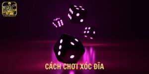 Cách chơi xóc đĩa
