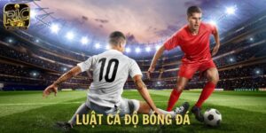 Luật cá độ bóng đá