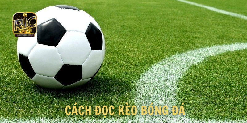 Cách Đọc Kèo Bóng Đá - Giải Thích Kèo Bóng Chi Tiết Dễ Hiểu