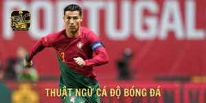 TOP Thuật Ngữ Cá Độ Bóng Đá Phổ Biến Mọi Người Chơi Cần Biết⚡️